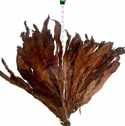 2 Maduro Wrapper - Short, 1lb., Whole - Leaf Tobacco - Whole Leaf Tobacco