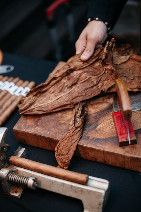 Hand preparing tobacco leaves on a wooden cutting board with tools.