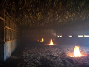 A smoky fire-curing barn with bright flames on the dirt floor and tobacco leaves hanging from the ceiling.