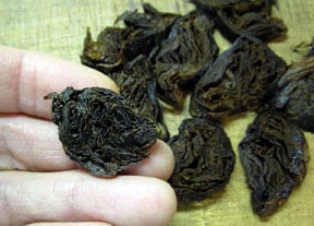 A hand holds a dark, crumpled disc of tobacco, with similar discs scattered nearby.