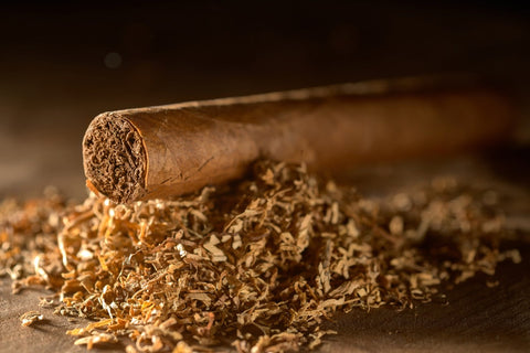 Cigar with tobacco leaves on a dark background