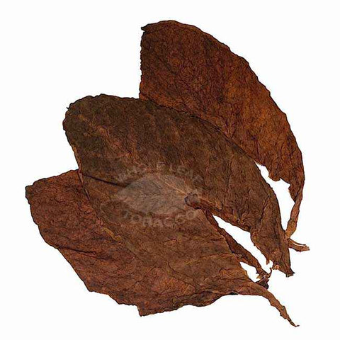 Corojo 99 Filler Tobacco, Ligero, 1lb., Whole - Leaf Tobacco - Whole Leaf Tobacco