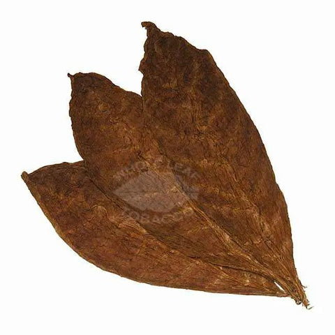 Criollo 98 Wrapper, 1 lb, Whole - Leaf Tobacco - Whole Leaf Tobacco