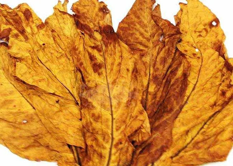 Flue Cured Virginia Red Leaf (50 lbs), Whole - Leaf Tobacco - Whole Leaf Tobacco