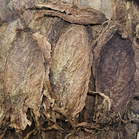 Habano Filler Straight Strip 1 lb, Whole - Leaf Tobacco - Whole Leaf Tobacco