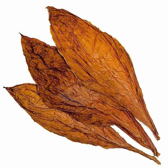 tobacco mandurah Maryland 609 Tobacco, 1lb