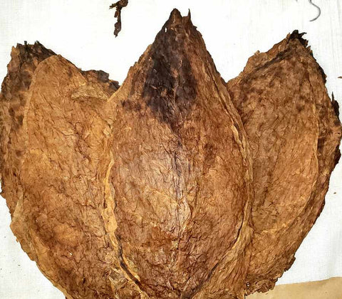 Nicaragua Esteli Viso Cigar Filler Tobacco, 1 lb, Whole - Leaf Tobacco - Whole Leaf Tobacco