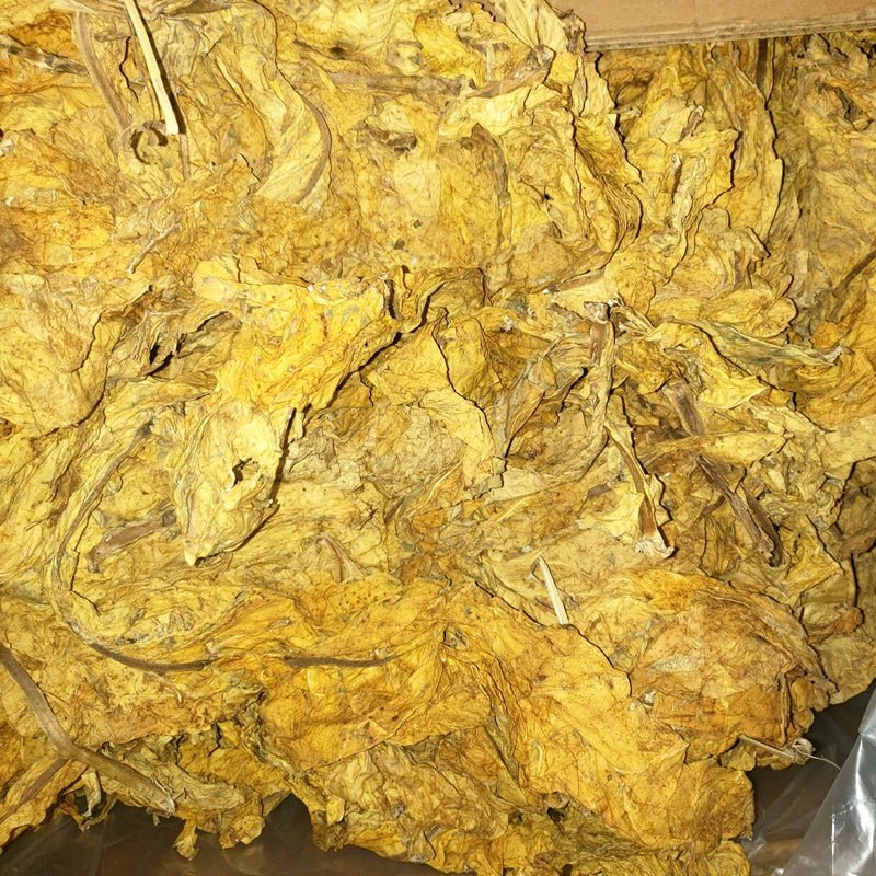 raw tobacco leaf near me Tangled Flue Cured Bright Leaf