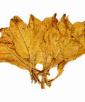 50 lbs. Flue Cured Virginia Thin Leaf (1st priming), Whole - Leaf Tobacco - Whole Leaf Tobacco