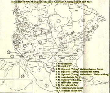A map of North America showing numbered regions of Nicotiana species distribution. A legend lists 11 species.