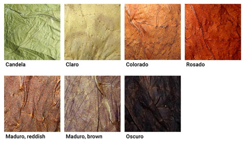 Seven cigar leaf colors: Candela, Claro, Colorado, Rosado, Maduro reddish, Maduro brown, and Oscuro.