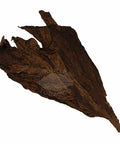 Black Grabba, 1 lb, Whole - Leaf Tobacco - Whole Leaf Tobacco
