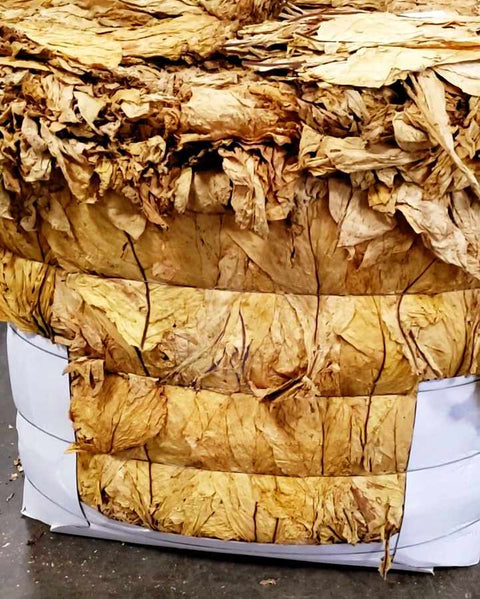 Canadian Flue Cured Virginia "Lemon" 1 lb, Whole - Leaf Tobacco - Whole Leaf Tobacco