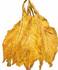 Canadian Flue Cured Virginia "Lemon" 1 lb, Whole - Leaf Tobacco - Whole Leaf Tobacco