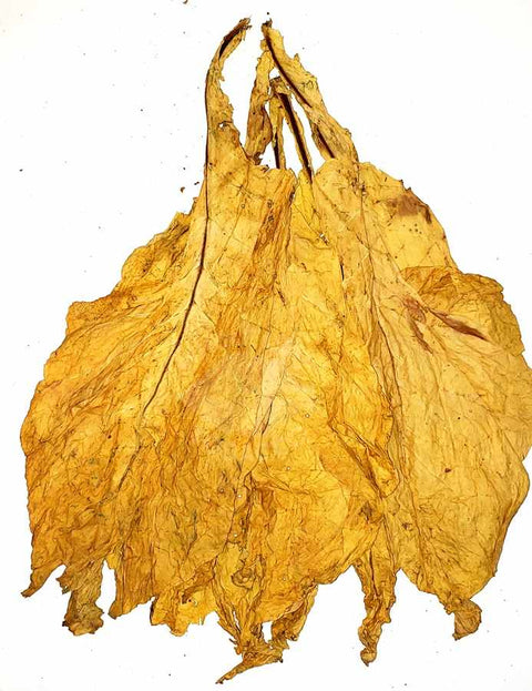 Canadian Flue Cured Virginia "Lemon" 1 lb, Whole - Leaf Tobacco - Whole Leaf Tobacco