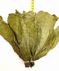 Candela Wrapper, 1 lb, Whole - Leaf Tobacco - Whole Leaf Tobacco