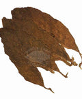 Criollo 98 Viso, 1 lb, Whole - Leaf Tobacco - Whole Leaf Tobacco