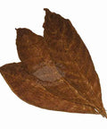 Criollo 98 Wrapper, 1 lb, Whole - Leaf Tobacco - Whole Leaf Tobacco