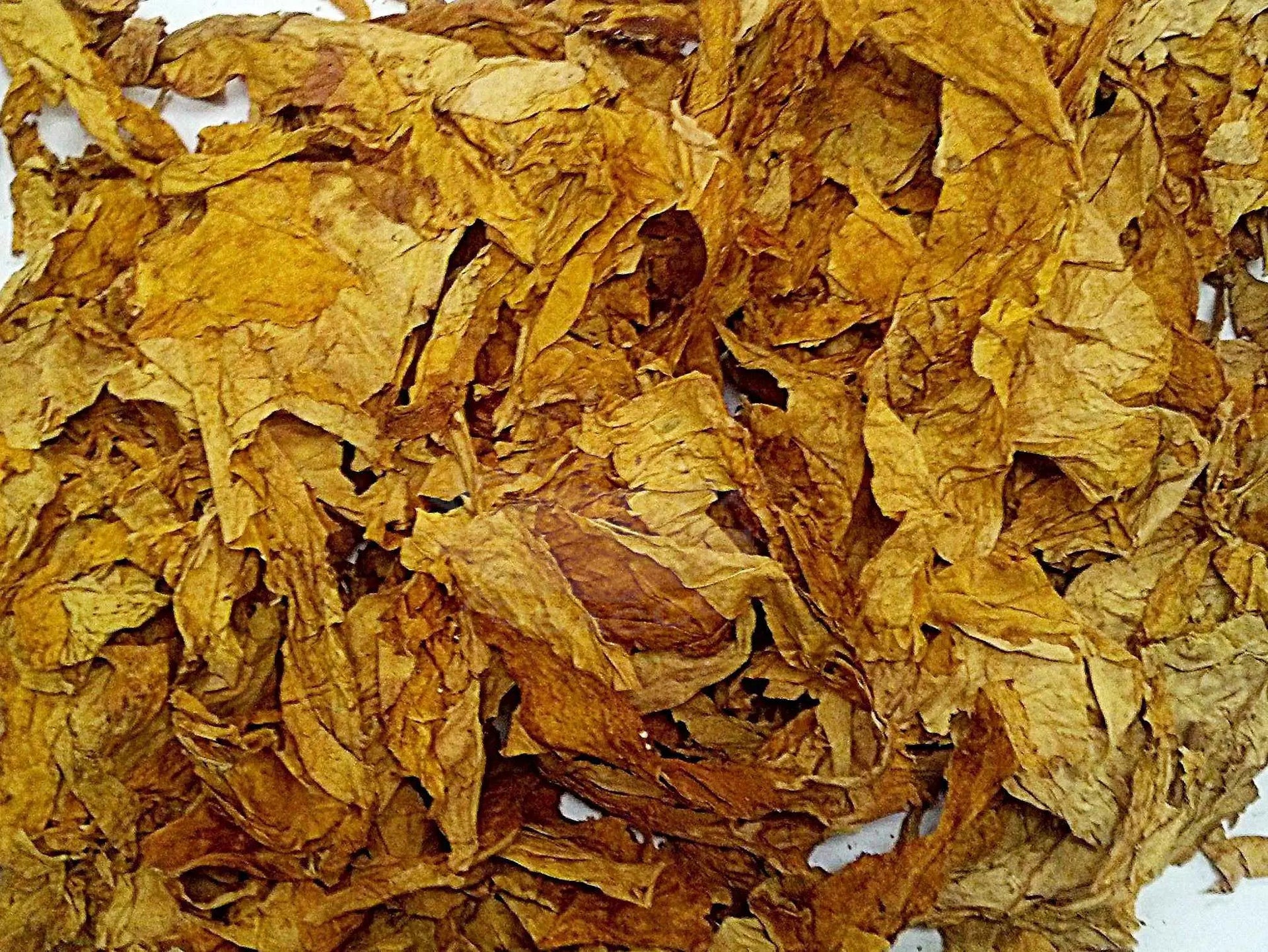 smooth and bright tobacco sticks Flue-Cured Threshed Lemon/Bright Tobacco