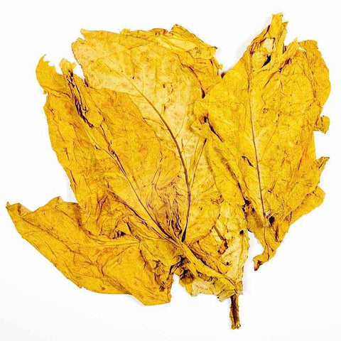 Flue Cured Virginia "Lemon" Leaf (50 lbs), Whole - Leaf Tobacco - Whole Leaf Tobacco