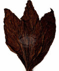 Genuine San Andres Wrapper, 1 lb, - Whole Leaf Tobacco