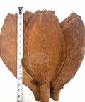 Hand Tied Nicaragua Orinoco - Batch 2, 1 lb, Whole - Leaf Tobacco - Whole Leaf Tobacco