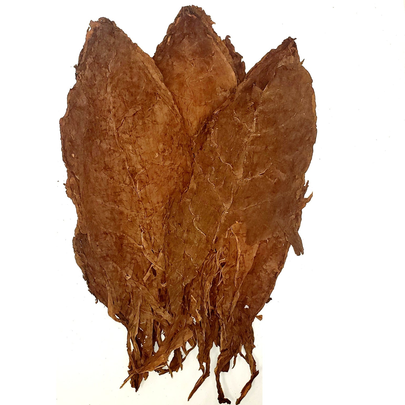 Honduras Jamastran Seco 1lb. - Whole Leaf Tobacco
