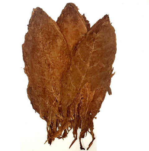 Honduras Jamastran Seco, 1 lb, Cigar Filler - Whole Leaf Tobacco