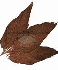 Imported PA Viso, 1 Ib, Whole - Leaf Tobacco - Whole Leaf Tobacco