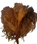 Nicaragua Condega Seco, 1 lb, Cigar Filler - Whole Leaf Tobacco