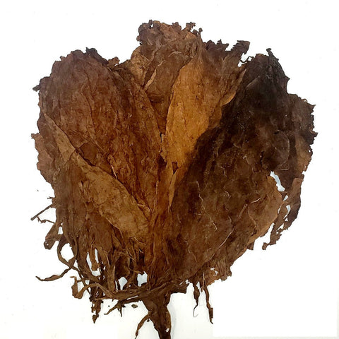 Nicaragua Condega Seco, 1 lb, Cigar Filler - Whole Leaf Tobacco