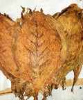 Nicaragua Esteli Seco Cigar Filler Tobacco, 1 lb, Whole - Leaf Tobacco - Whole Leaf Tobacco