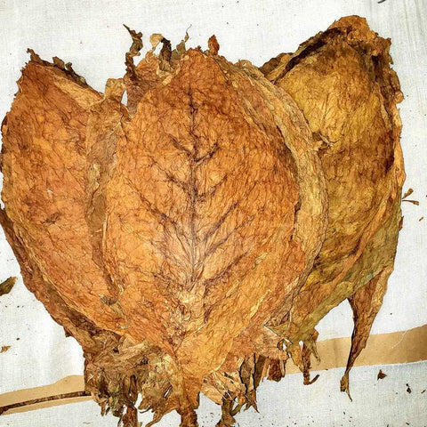 Nicaragua Esteli Seco Cigar Filler Tobacco, 1 lb, Whole - Leaf Tobacco - Whole Leaf Tobacco