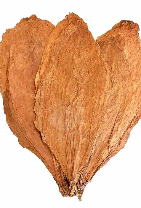 Nicaragua Shade Wrapper, 1 lb, Whole Leaf Cigar Wrapper - Whole Leaf Tobacco