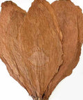 Nicaragua Shade Wrapper, 1 lb, Whole Leaf Cigar Wrapper - Whole Leaf Tobacco