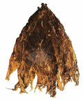 Piloto Ligero Cigar Filler Tobacco, 1 lb, Whole - Leaf Tobacco - Whole Leaf Tobacco