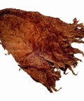 Piloto Seco Cigar Filler Tobacco, 1 lb, Whole - Leaf Tobacco - Whole Leaf Tobacco