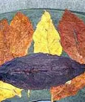 SAMPLER of 8 types American and Turkish Tobacco, casing 1 & 2, Whole - Leaf Tobacco - Whole Leaf Tobacco