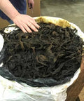 St. James Perique Tobacco, Whole - Leaf Tobacco - Whole Leaf Tobacco