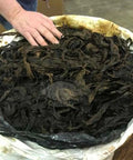 St. James Perique Tobacco, Whole - Leaf Tobacco - Whole Leaf Tobacco