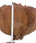 Sumatra Cigar Binder, 1 lb, Whole - Leaf Tobacco - Whole Leaf Tobacco