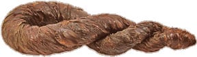 A coiled, twisted roll of dark brown tobacco, tapering to the right.