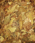 Turkish/Oriental Izmir, 1 lb, Whole - Leaf Tobacco - Whole Leaf Tobacco
