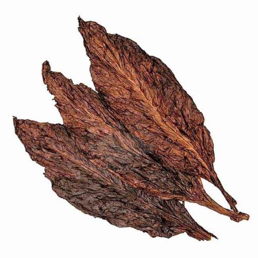 Black Fronto (50 lbs.)