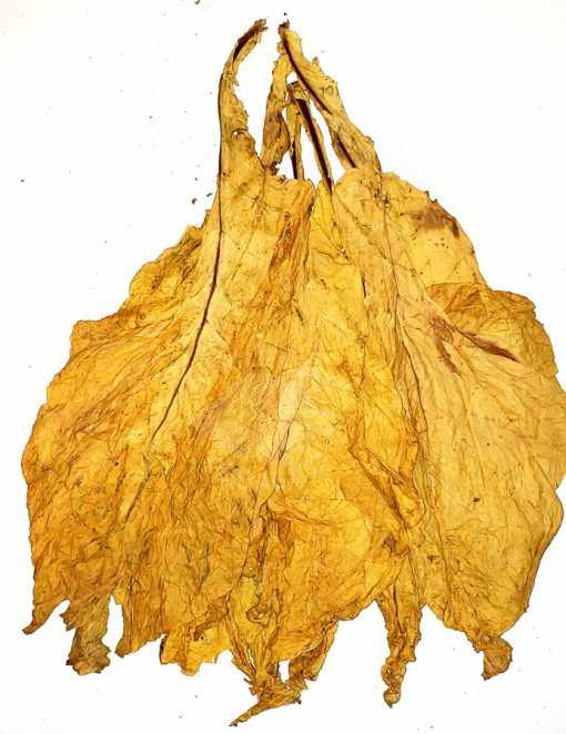 Flue Cured Virginia "Lemon" Leaf (50 lbs)