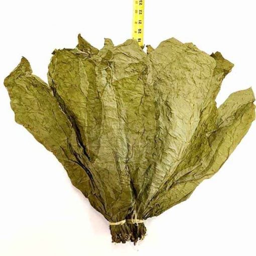 Candela Wrapper,  1lb.