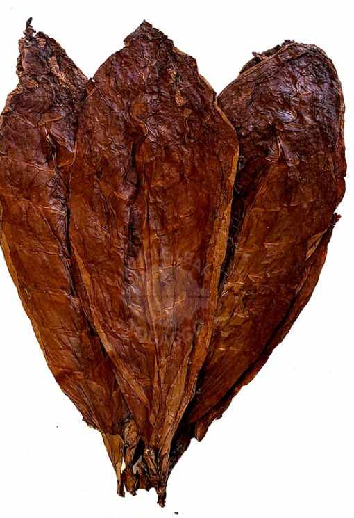 Dominican Olor Cigar Binder, 1lb.