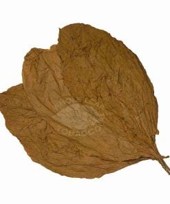 Ecuador CT Shade Cigar Wrapper, 1lb.
