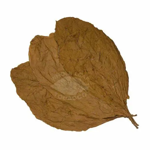 Ecuador CT Shade Cigar Wrapper, 1lb.