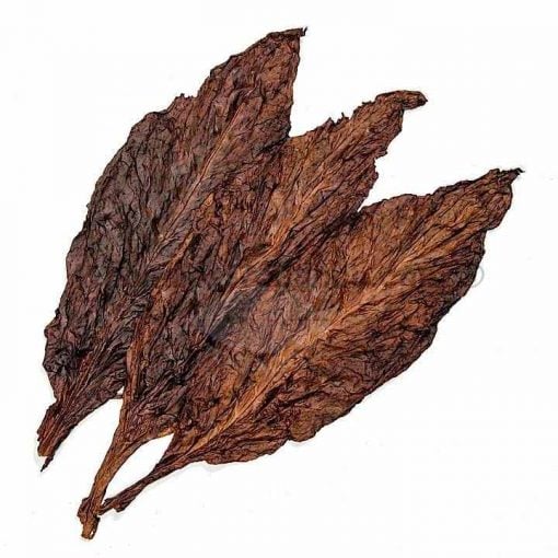 Kentucky Fire Cured VA 309 (25 lbs)